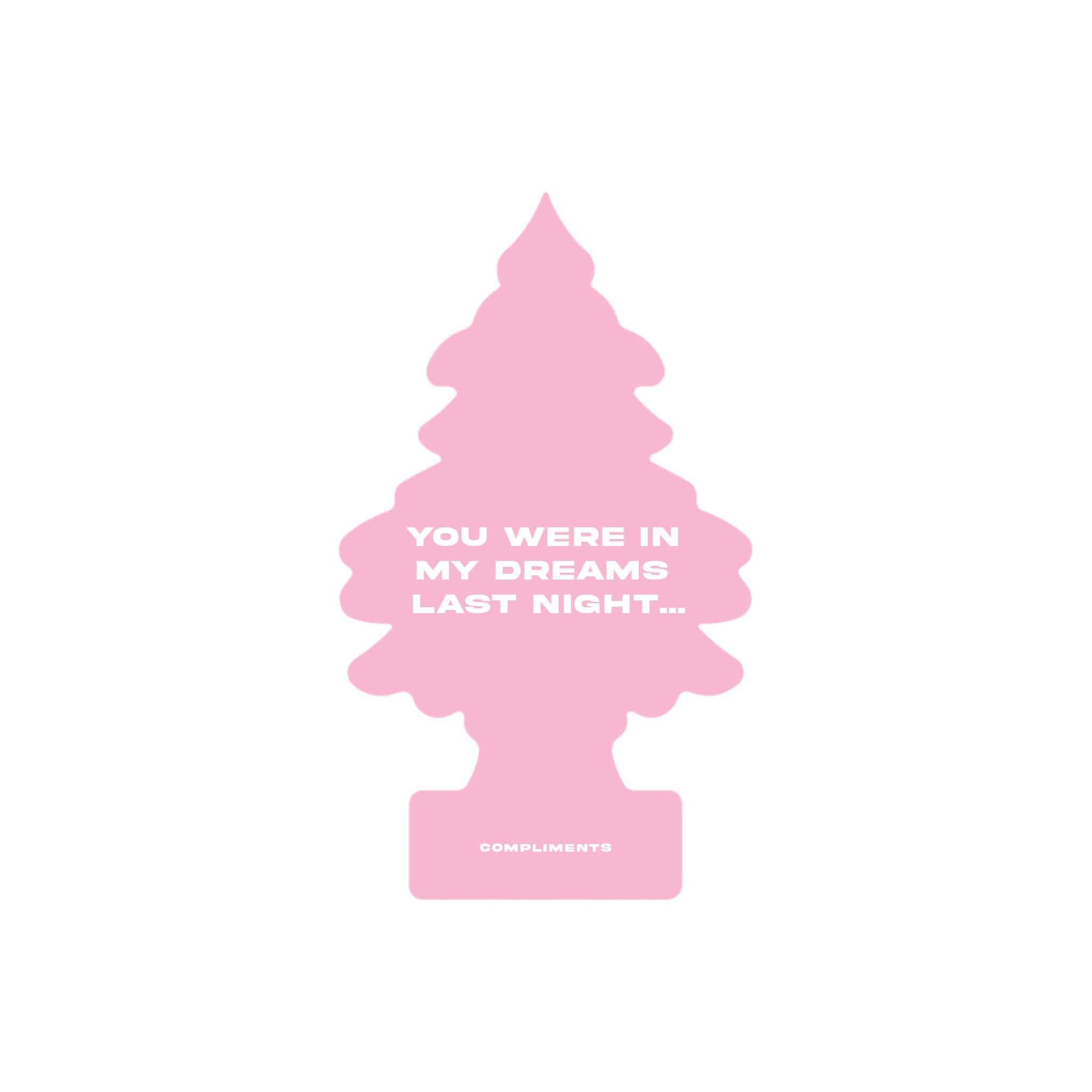 Compliments In My Dreams 2-Pack Air Fresheners